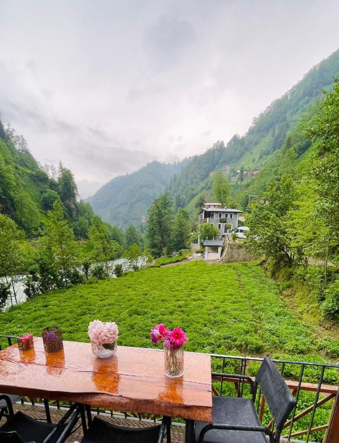 Hotel Vagona Tiny House Rize Zewnętrze zdjęcie